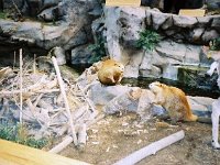 photos 2000-200901007